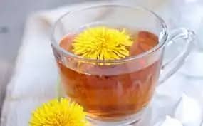 pitypang tea