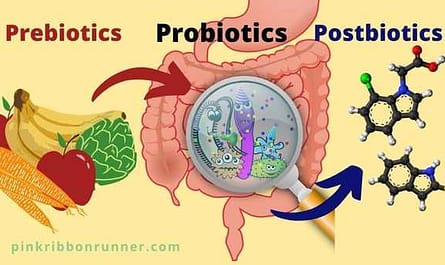 pre pro postbiotics